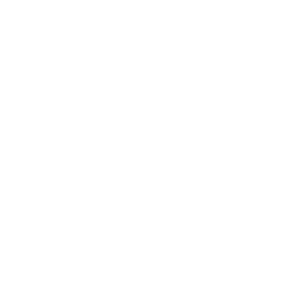 Invoice Icon