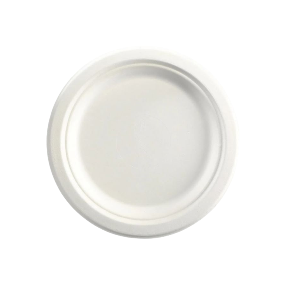 Sugarcane Disposable Plates 9&quot; White (Pack of 50)
